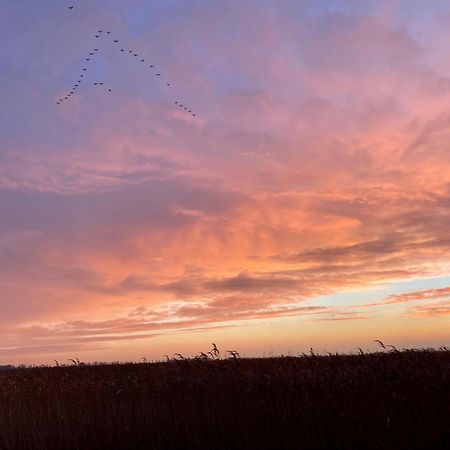 Deichkoje12 Direkt Am Eiderdeich Nur 7 Km Bis Zur Nordsee Und 20 Min Bis Sankt Peter Ording Toenning Luaran gambar