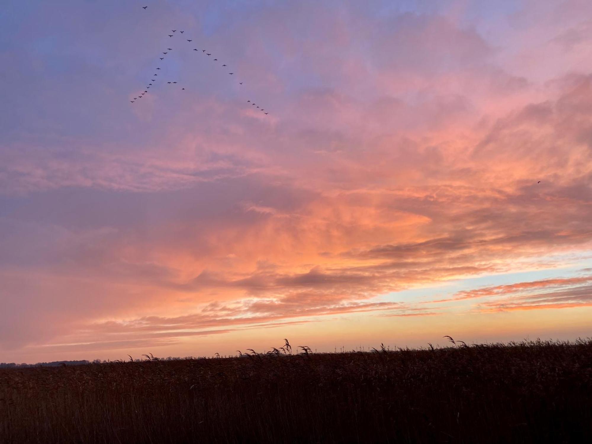 Deichkoje12 Direkt Am Eiderdeich Nur 7 Km Bis Zur Nordsee Und 20 Min Bis Sankt Peter Ording Toenning Luaran gambar