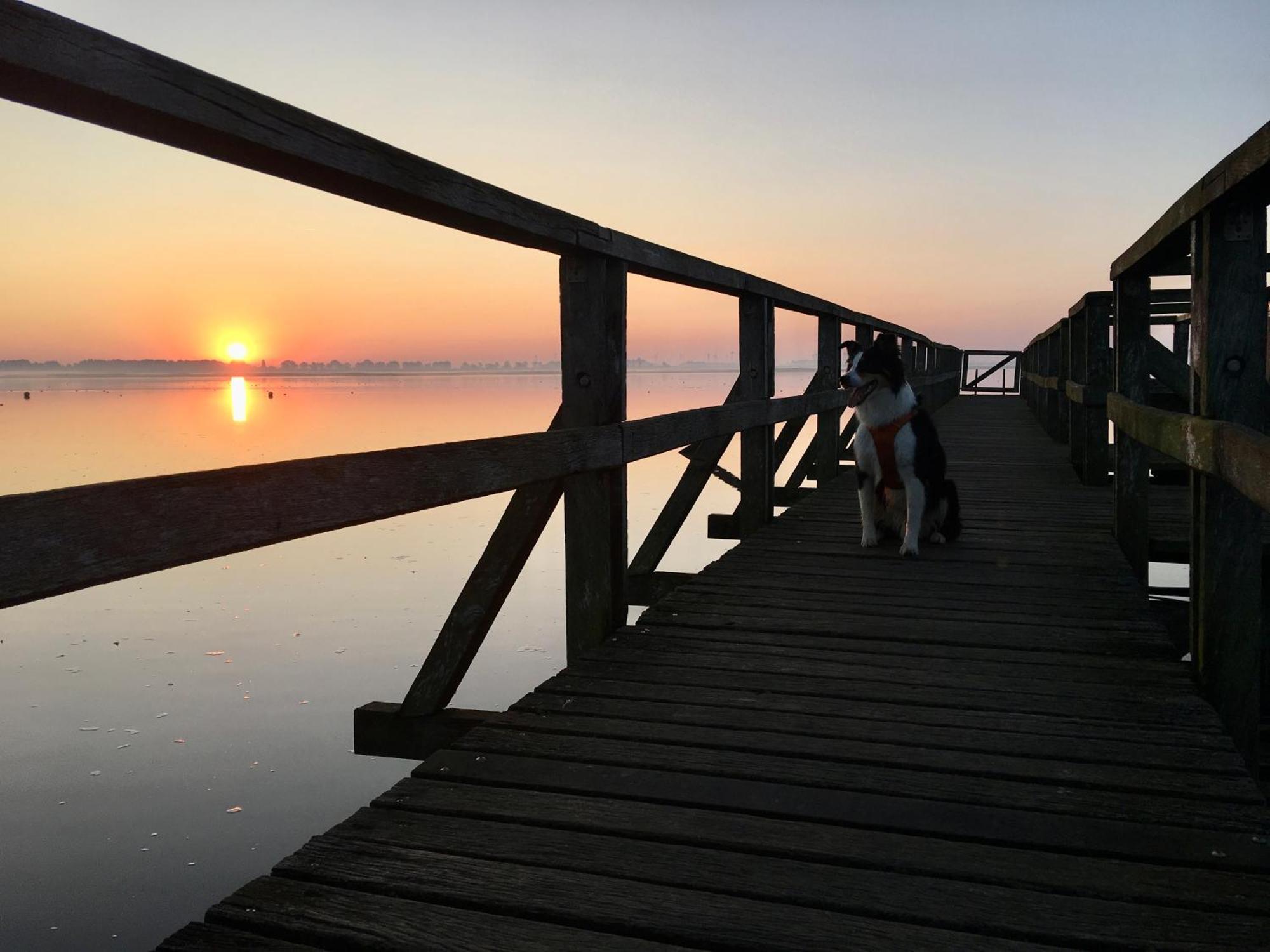 Deichkoje12 Direkt Am Eiderdeich Nur 7 Km Bis Zur Nordsee Und 20 Min Bis Sankt Peter Ording Toenning Luaran gambar