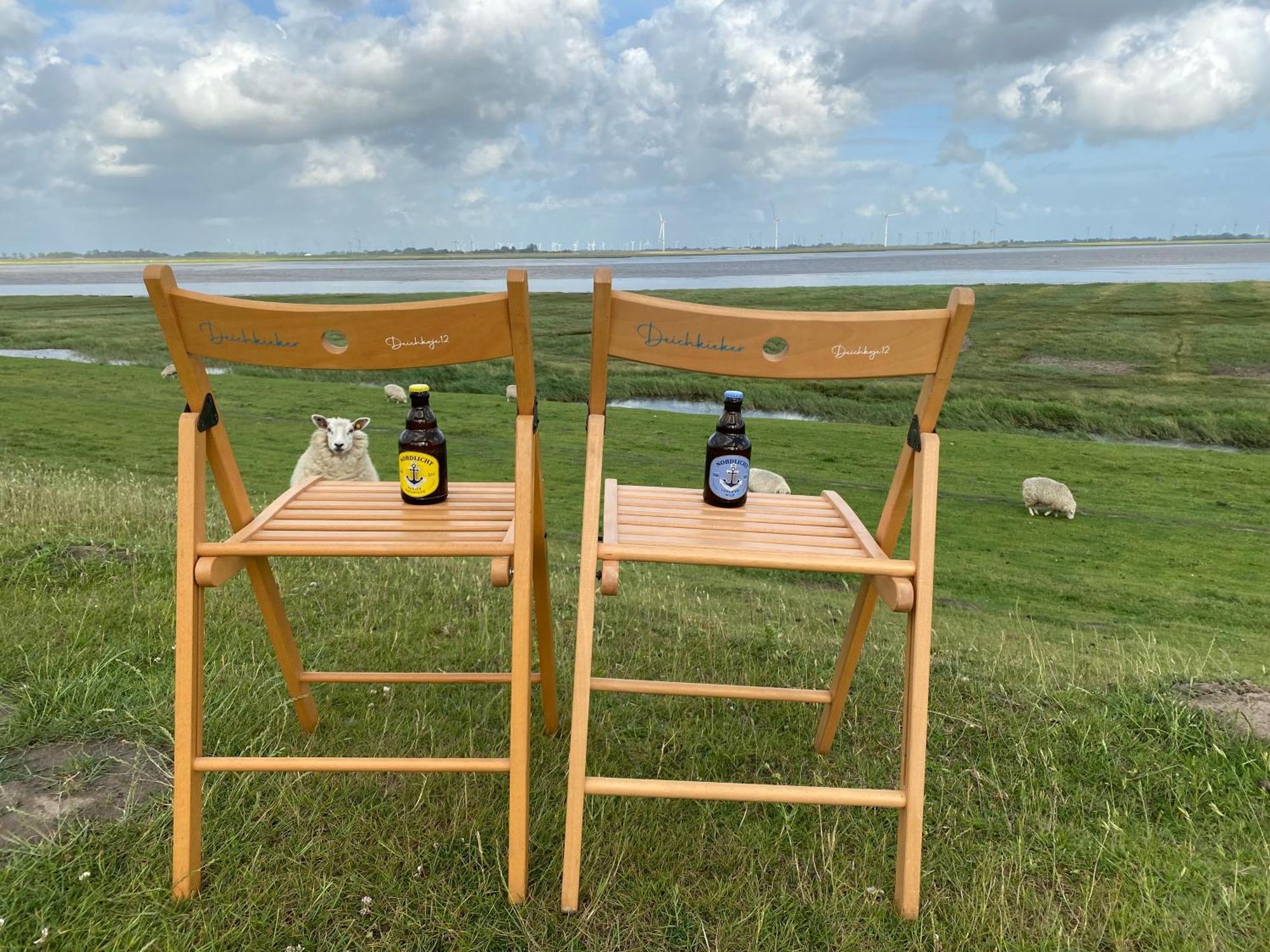 Deichkoje12 Direkt Am Eiderdeich Nur 7 Km Bis Zur Nordsee Und 20 Min Bis Sankt Peter Ording Toenning Luaran gambar